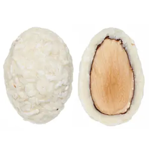 Veselá Veverka Mandle RAFFAELLO v bílé čokoládě s kokosem 1 kg